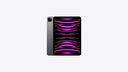 iPad Pro 11-inch